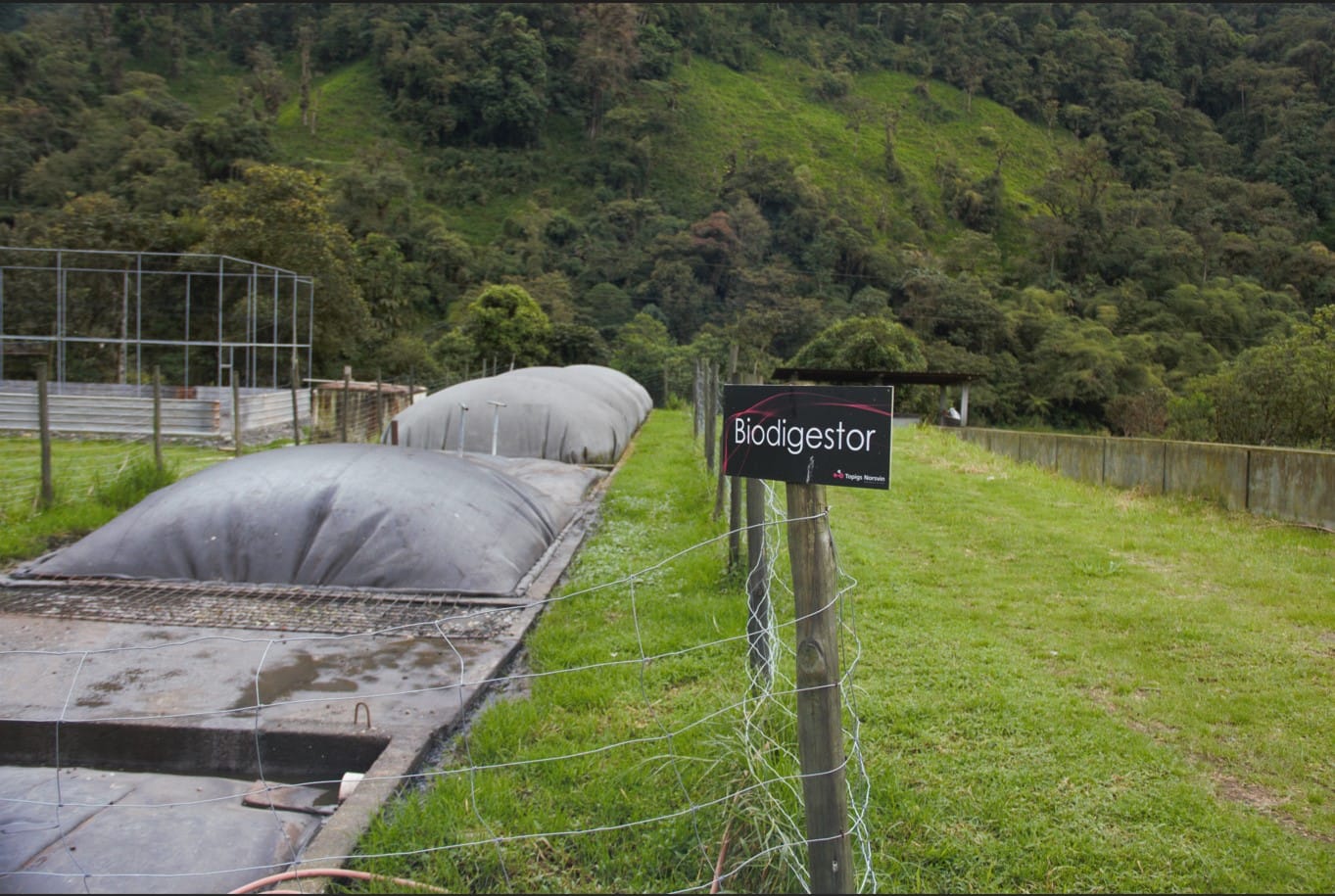 Dos bolsas de biodigestor en un potrero, con un letrero que dice Biodigestor y el bosque detrás