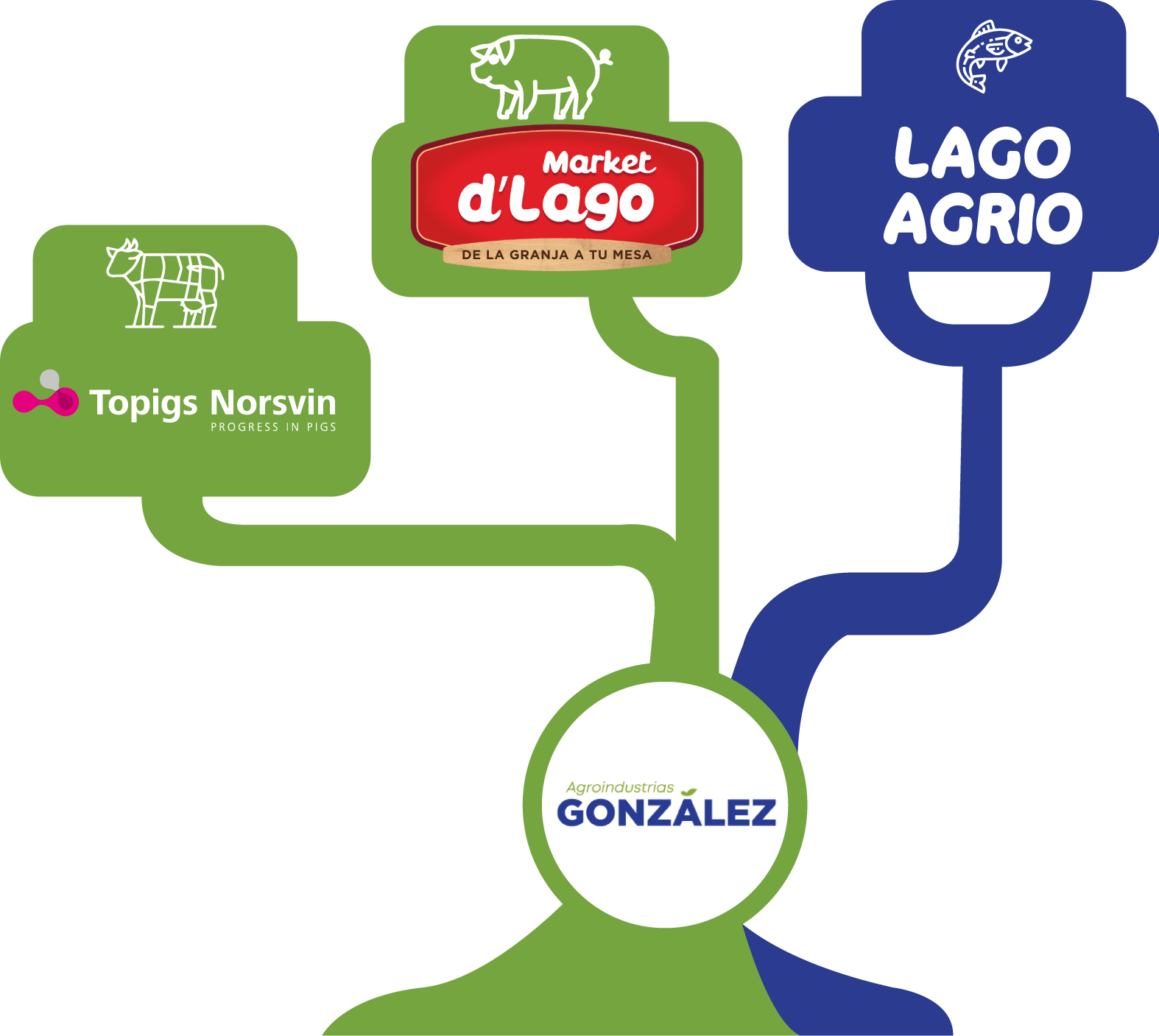Esquema de las empresas del grupo: Topigs Norsvin, Market d'Lago y Lago Agrio, unidas a Agroindustrias González