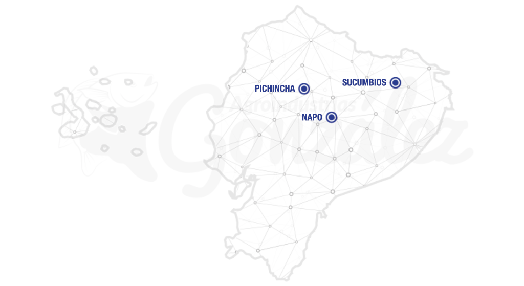 mapa-ecuador-PRO-1024x559-1.png